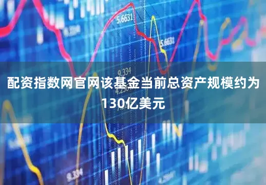 配资指数网官网该基金当前总资产规模约为130亿美元